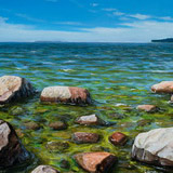 "Зеленое море", х.м., 60*80cм, 2011,"Green sea", oil on canvas, 60*80cm, 2011