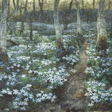 Primavera, х.м., 80*100см, 2023,Primavera, oil on canvas, 80*100cm, 2023